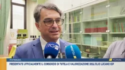 Official Presentation of the Consortium for the Protection and Promotion of PGI Lucanian Olive Oil